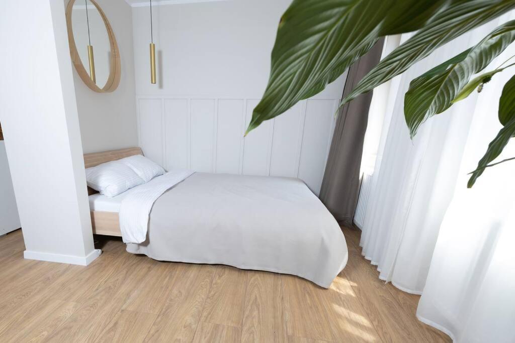 Wittenberg Design & Relax #Altstadt #Sauna מראה חיצוני תמונה